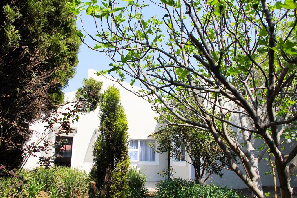 La Coscello Guest House Edenvale Extérieur photo